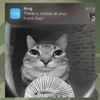 Ring There Is Motion At Your Front Door Funny Legacy Tie Dye Trucker Hat