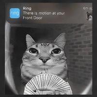 Ring There Is Motion At Your Front Door Funny Cool Comfort Performance Bucket Hat