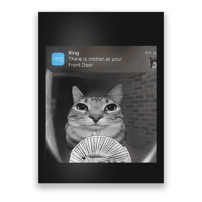Ring There Is Motion At Your Front Door Funny Poster