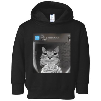 Ring There Is Motion At Your Front Door Funny Toddler Hoodie