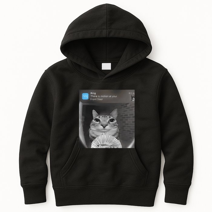 Ring There Is Motion At Your Front Door Funny Kids Hoodie