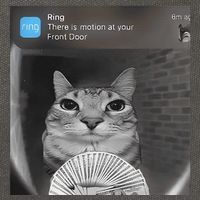 Ring There Is Motion At Your Front Door Funny Cotton Canvas Backpack