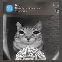 Ring There Is Motion At Your Front Door Funny Vector Backpack
