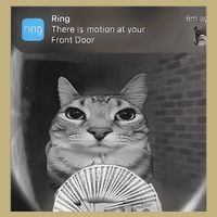 Ring There Is Motion At Your Front Door Funny Performance Shirt