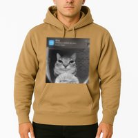 Ring There Is Motion At Your Front Door Funny Hoodie