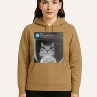Ring There Is Motion At Your Front Door Funny Hoodie