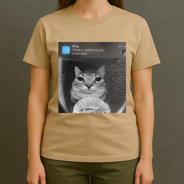 Ring There Is Motion At Your Front Door Funny T-Shirt