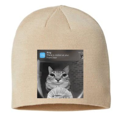 Ring There Is Motion At Your Front Door Funny Sustainable Beanie