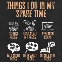 Rockhound Things I Do In My Spare Time Rock Collecting Premium Pullover Hoodie
