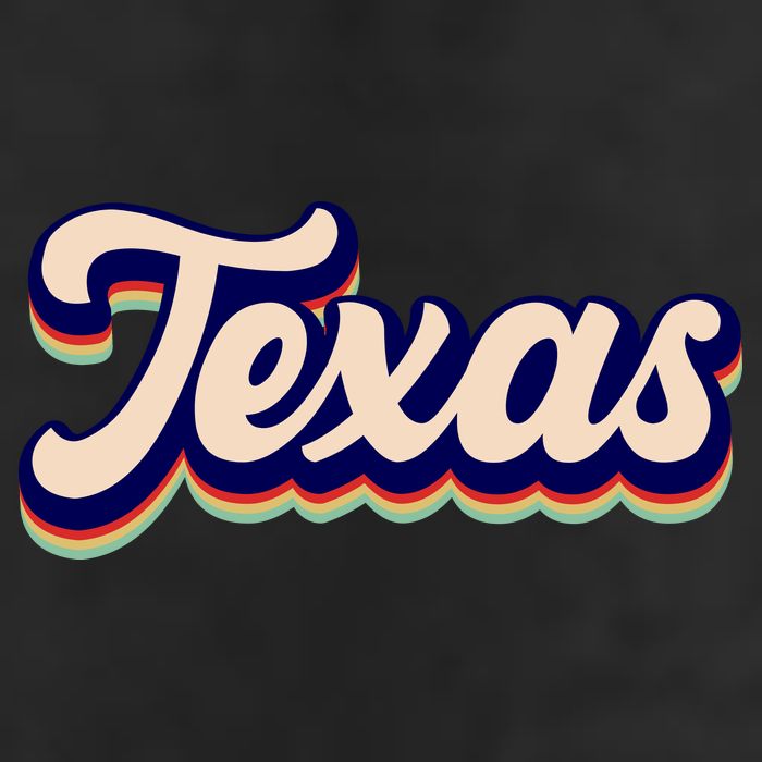 Retro Texas Logo Hat