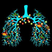 Respiratory Therapy Lung Christmas Xmas Light Ornament Toddler T-Shirt