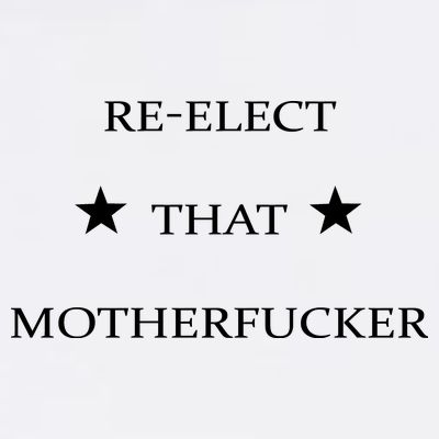 Reelect That Motherfucker Funny Political T-Shirt