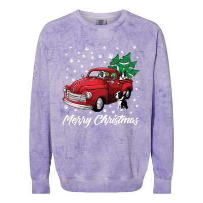 Red Truck Merry Christmas Tree Boston Terrier Dog Christmas Gift Colorblast Crewneck Sweatshirt