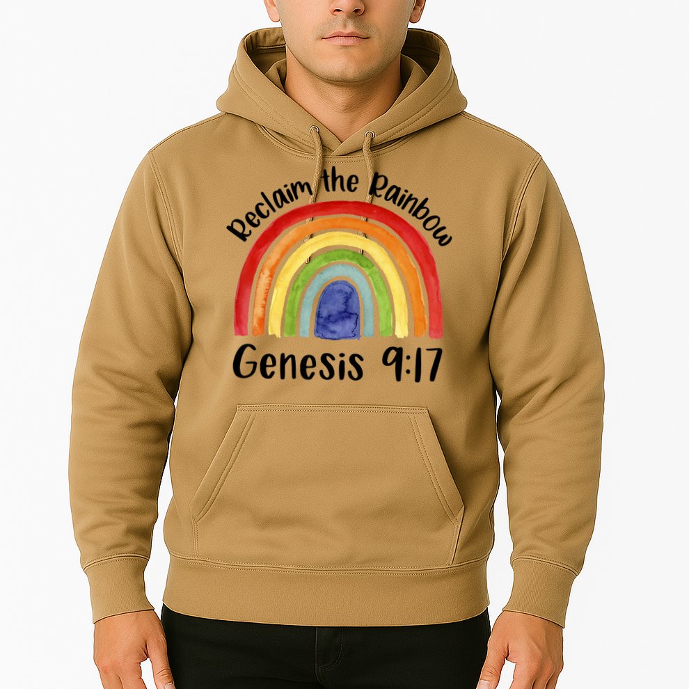 Reclaim The Rainbow Jesus Lover Christian Proverb Hoodie