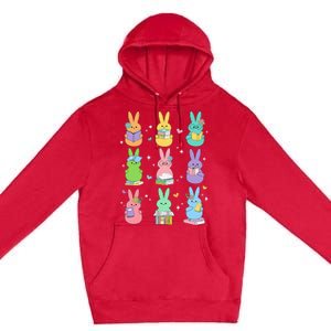 Reading Teacher Rabbit School Premium Pullover Hoodie