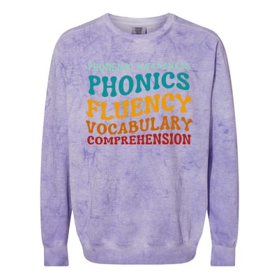 Reading Teacher Science Of Reading Phonics Gift Colorblast Crewneck Sweatshirt