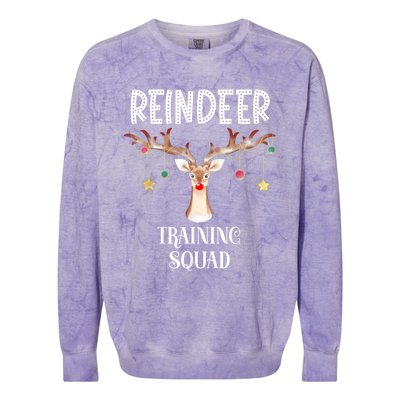 Reindeer Training Squad Funny Christmas Matching Family Gift Colorblast Crewneck Sweatshirt