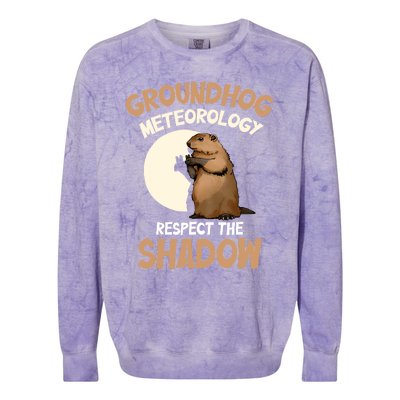 Respect The Shadow Meteorology Funny Groundhog Day Colorblast Crewneck Sweatshirt