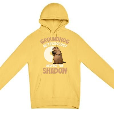 Respect The Shadow Meteorology Funny Groundhog Day Premium Pullover Hoodie