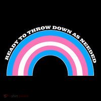 Ready To Throw Down As Needed T-Shirt
