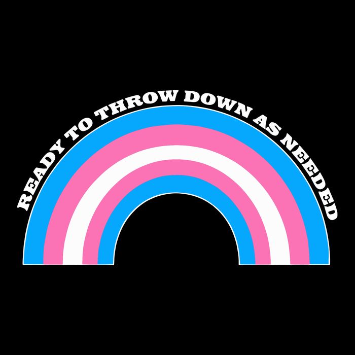 Ready To Throw Down As Needed Ladies Essential Flowy Tank