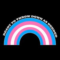 Ready To Throw Down As Needed Youth Performance Sprint T-Shirt