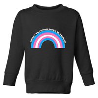 Ready To Throw Down As Needed Toddler Sweatshirt