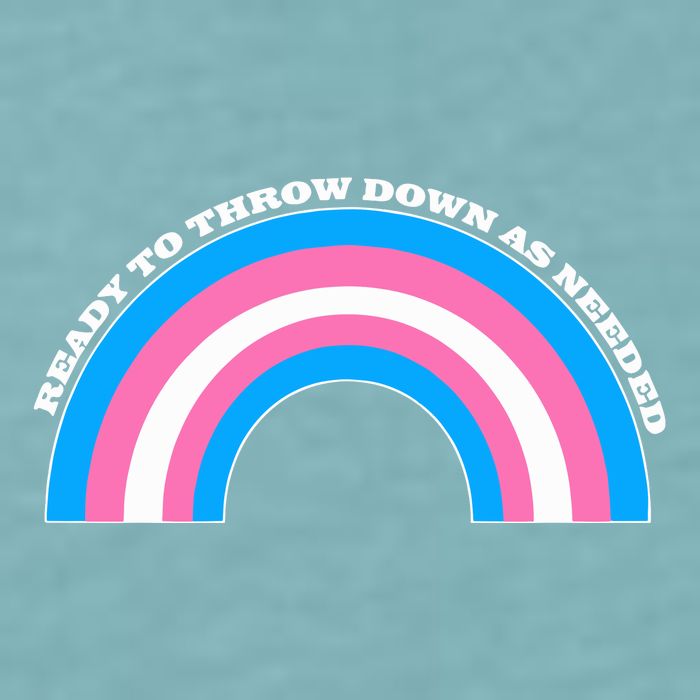 Ready To Throw Down As Needed Sueded Cloud Jersey T-Shirt