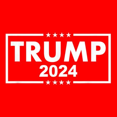 Red Trump Trump 2024 Take America Back Election Red T-Shirt