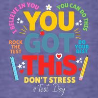 Rock The Test Dont Stress You Got This Teacher Testing Day  T-Shirt