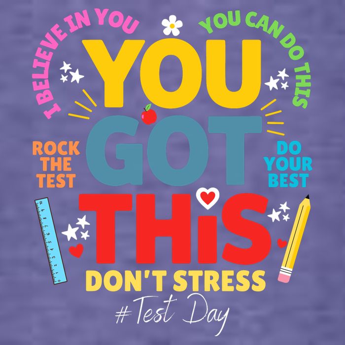 Rock The Test Dont Stress You Got This Teacher Testing Day  T-Shirt
