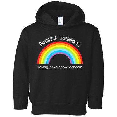 Revelation Taking The Rainbow Back Toddler Hoodie