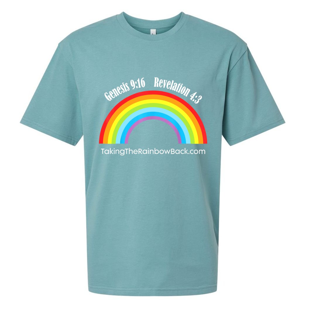 Revelation Taking The Rainbow Back Sueded Cloud Jersey T-Shirt
