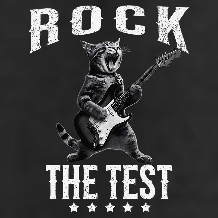 Rock The Test Teacher Test Day Cat Lover State Testing Garment-Dyed Fleece Hoodie