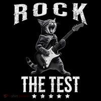 Rock The Test Teacher Test Day Cat Lover State Testing Hooded Wearable Blanket