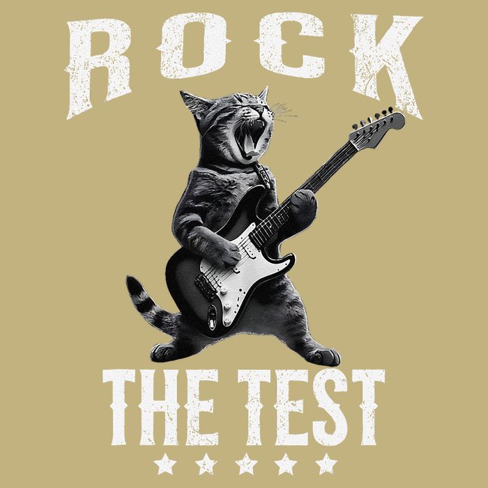 Rock The Test Teacher Test Day Cat Lover State Testing Button