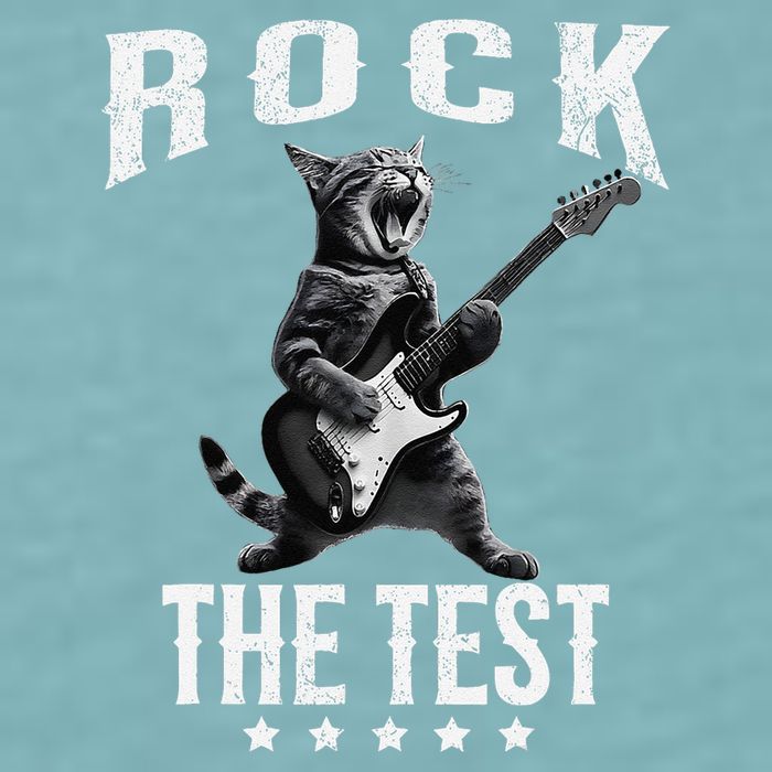 Rock The Test Teacher Test Day Cat Lover State Testing Sueded Cloud Jersey T-Shirt
