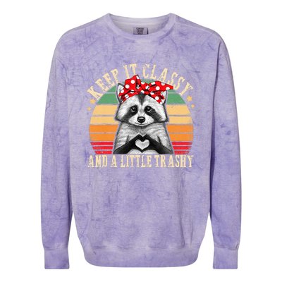 Raccoon Trashy Vintage Retro Funny Racoon Lovers Gifts Colorblast Crewneck Sweatshirt