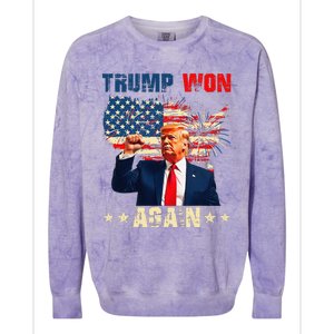 Retro Trump Won Again 2024 Us Vote 47th President Election Colorblast Crewneck Sweatshirt