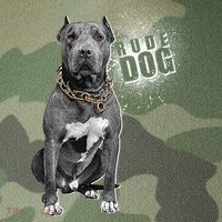 Rude Dog Pitbull Lover Legacy Tie Dye Trucker Hat