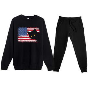 Retro USA Patriotic American Flag US Cat Premium Crewneck Sweatsuit Set