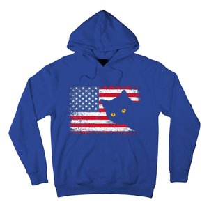 Retro USA Patriotic American Flag US Cat Hoodie