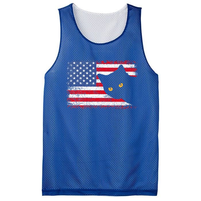 Retro USA Patriotic American Flag US Cat Mesh Reversible Basketball Jersey Tank