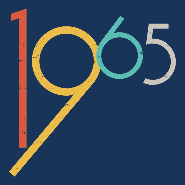 Retro Vintage 1965 60th Birthday Women's V-Neck T-Shirt