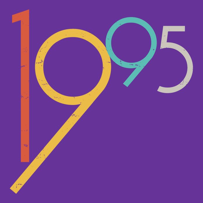 Retro Vintage 1995 30th Birthday Button
