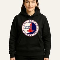 Retro Vintage 1930S Dc3 Eastern Airlines Great Silver Fleet Hoodie
