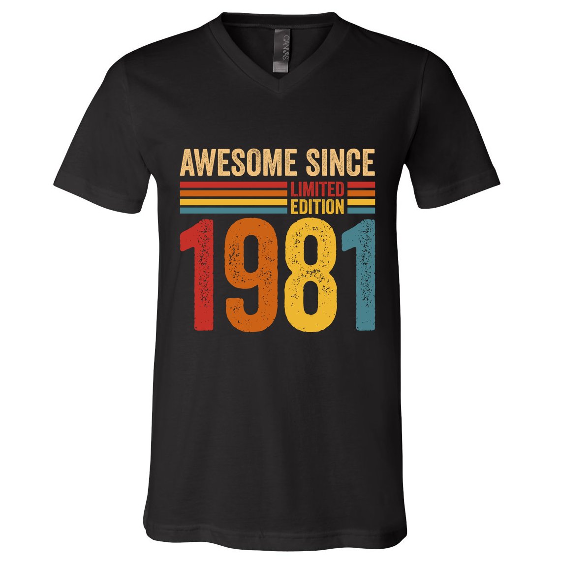Retro Vintage Awesome Since 1981 Limited Edition V-Neck T-Shirt