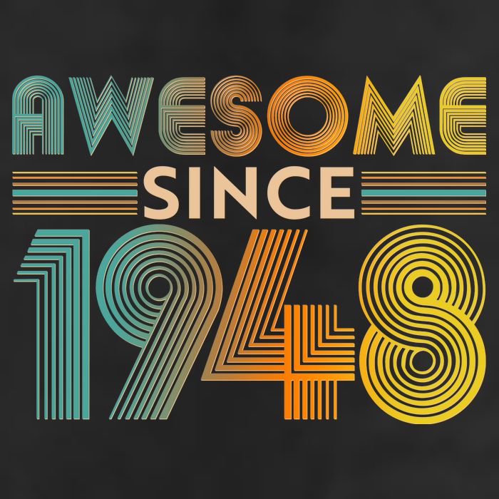 Retro Vintage Awesome Since 1948 Birthday Hat