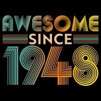 Retro Vintage Awesome Since 1948 Birthday Women's V-Neck T-Shirt