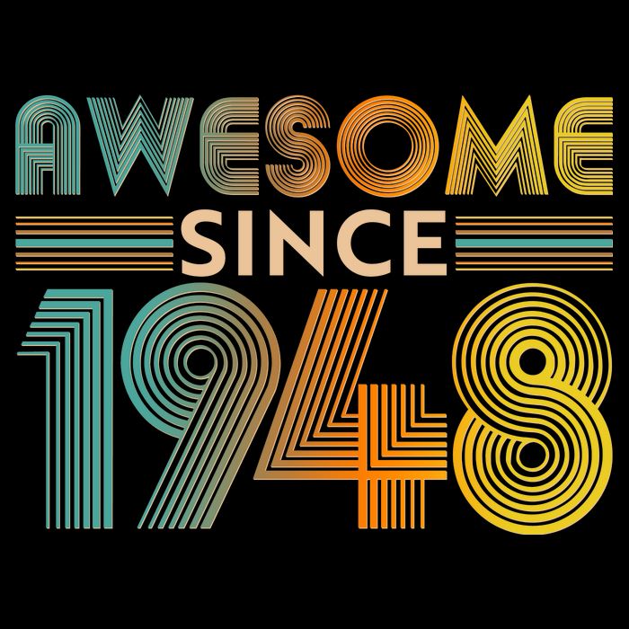 Retro Vintage Awesome Since 1948 Birthday Women's V-Neck T-Shirt